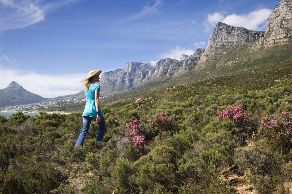 wellness travel africa Twelve Apostles Hotel
