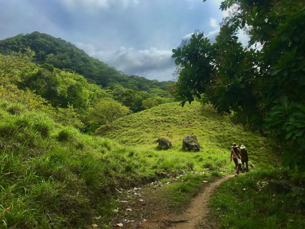 Jungle Retreat