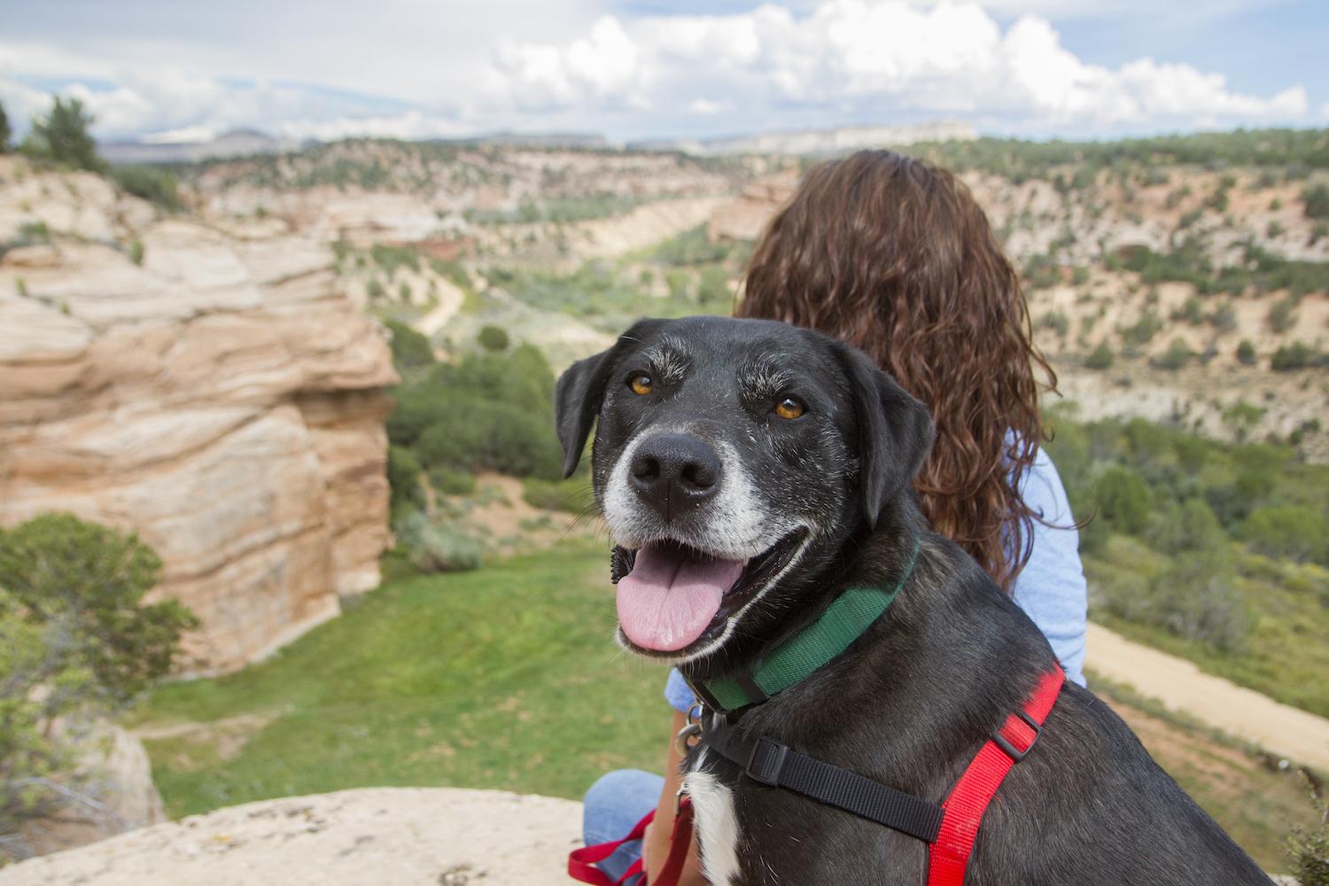 Volunteer Hiking Vacation Best Friends Animal Sanctuary