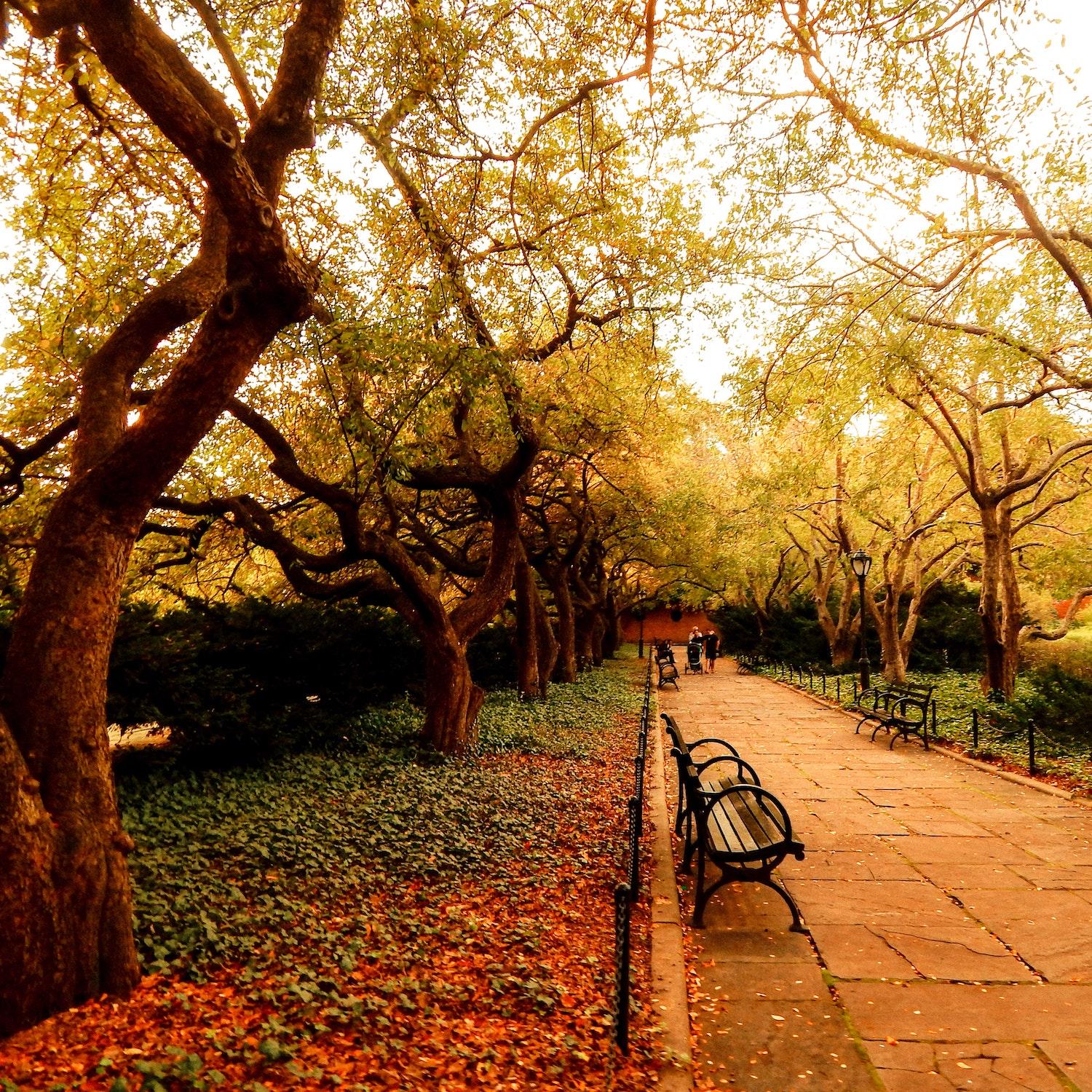 navigate a city park