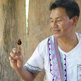 Ayahuasca Foundation Shipibo