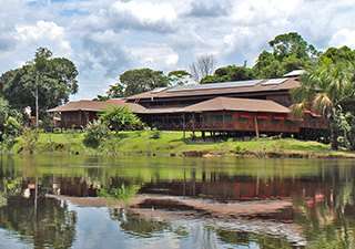 Ayahuasca Foundation