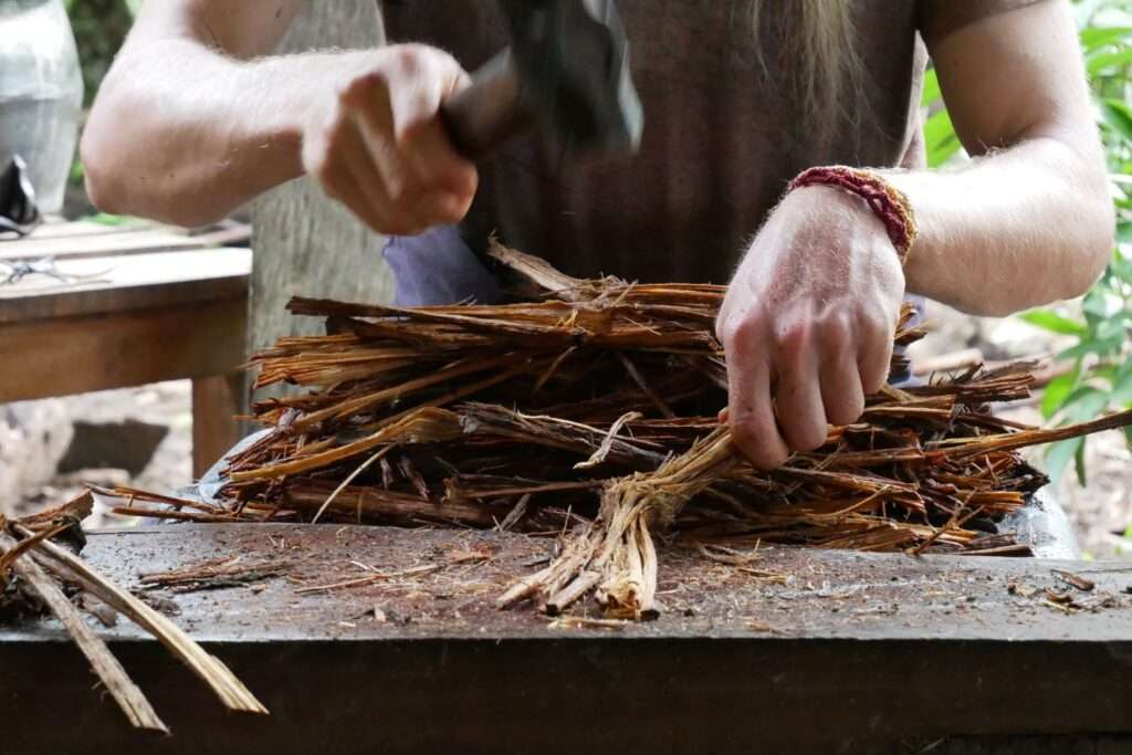 Ayahuasca