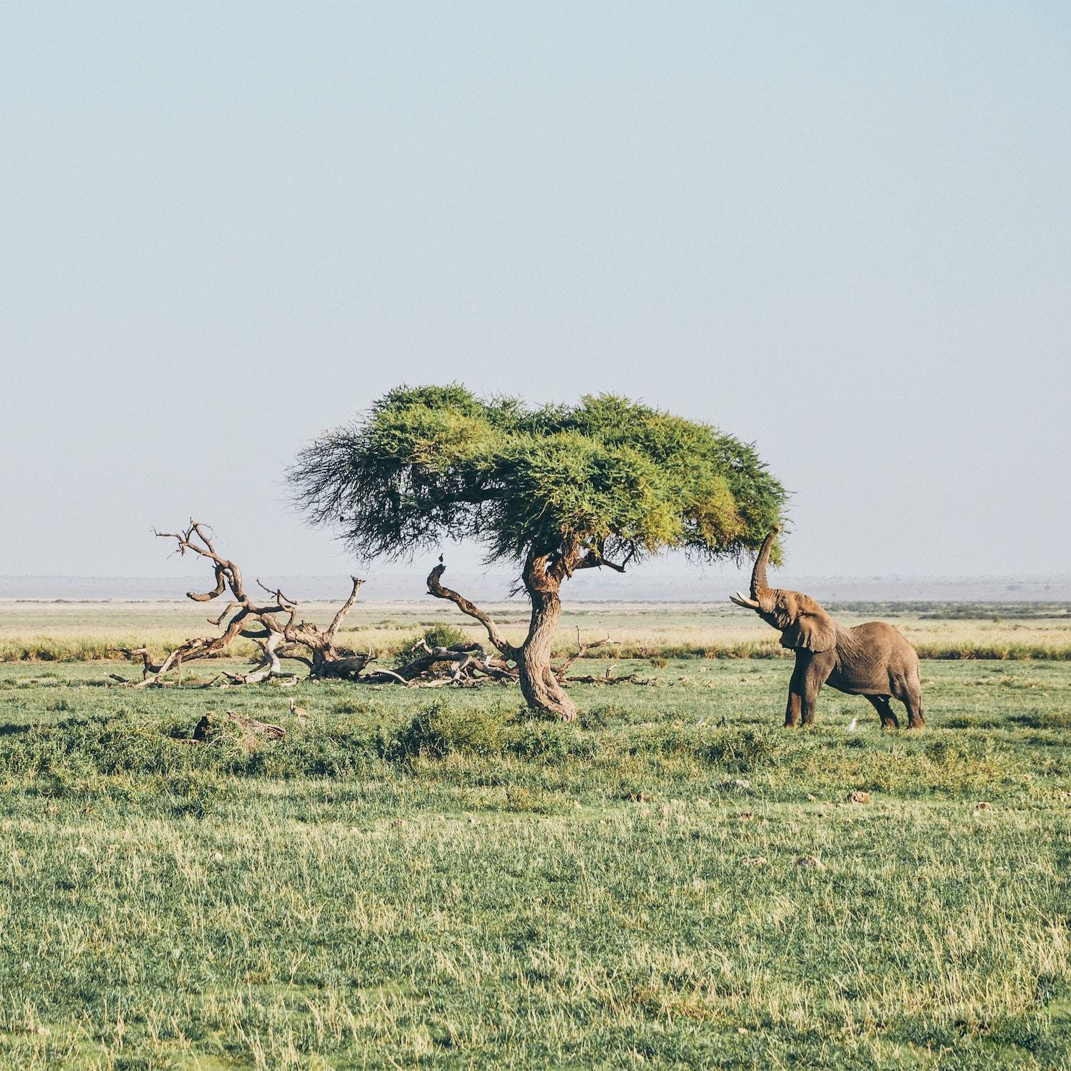 Bigger Life Adventures Africa