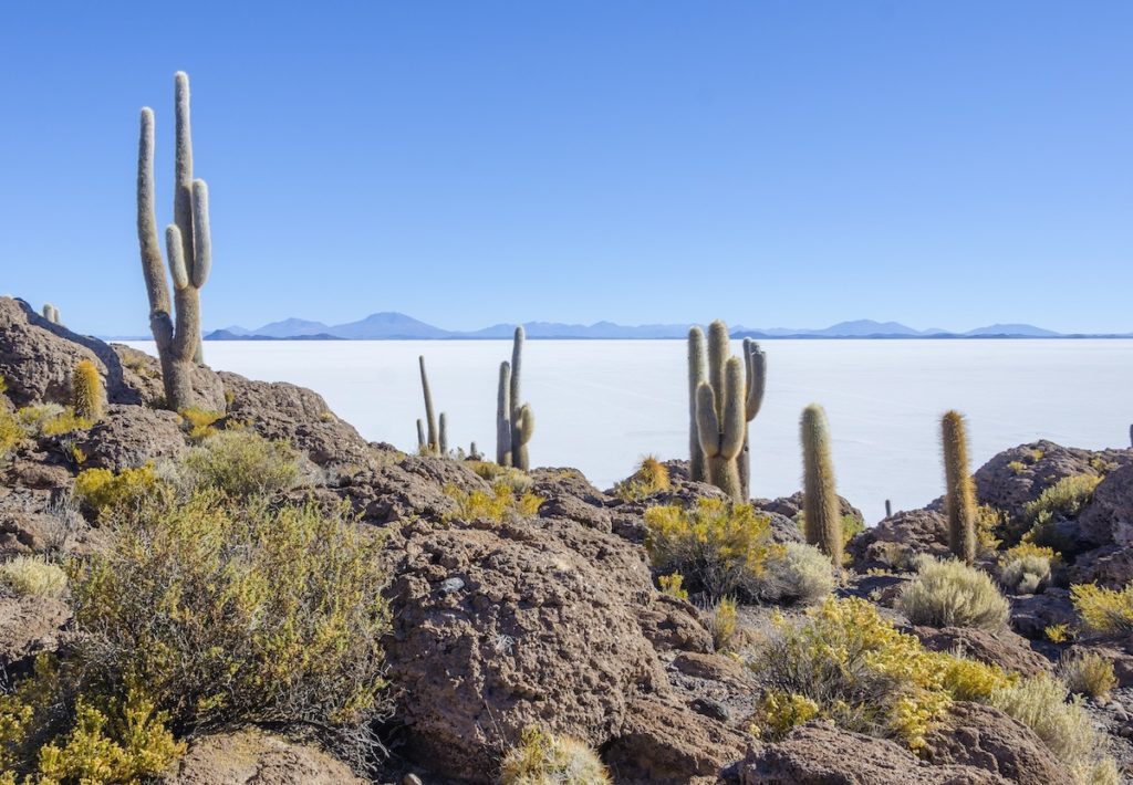 Salar de Uyuni, Bolivia