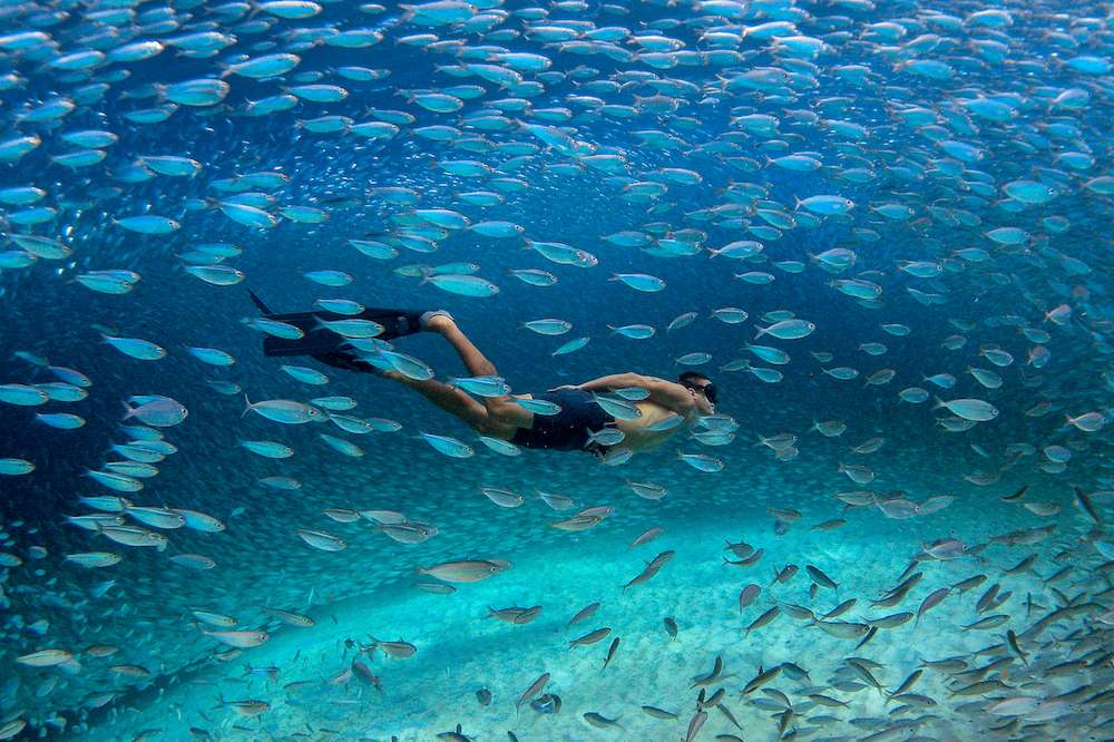 freediving in Bonaire