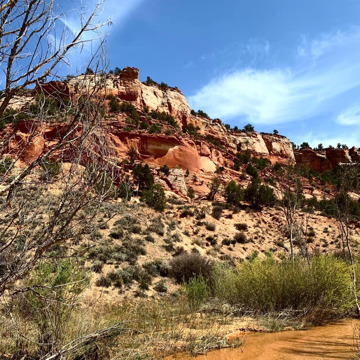 Canyon Trail Hike