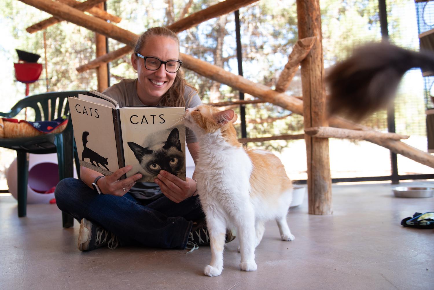 Cat World Volunteer Vacation atBest Friends Animal Sanctuary