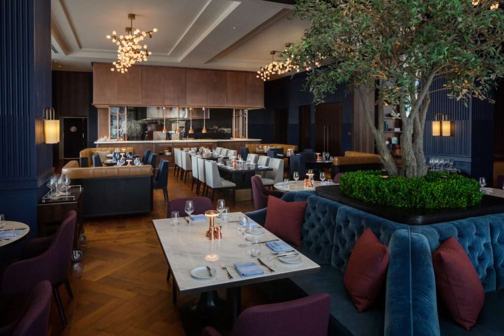 Conrad Nashville Blue Aster