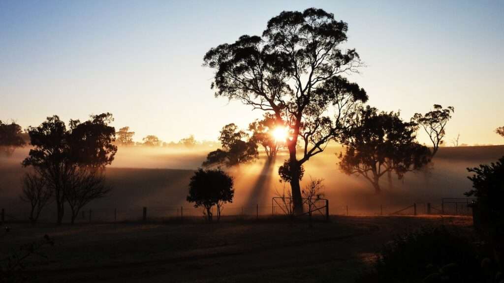beauty of sunset