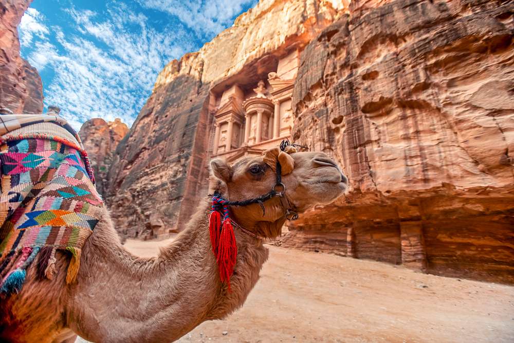 Camel standing in front of the Al Khazneh tomb. The Treasury tomb of Petra, Jordan - Image, selective focus