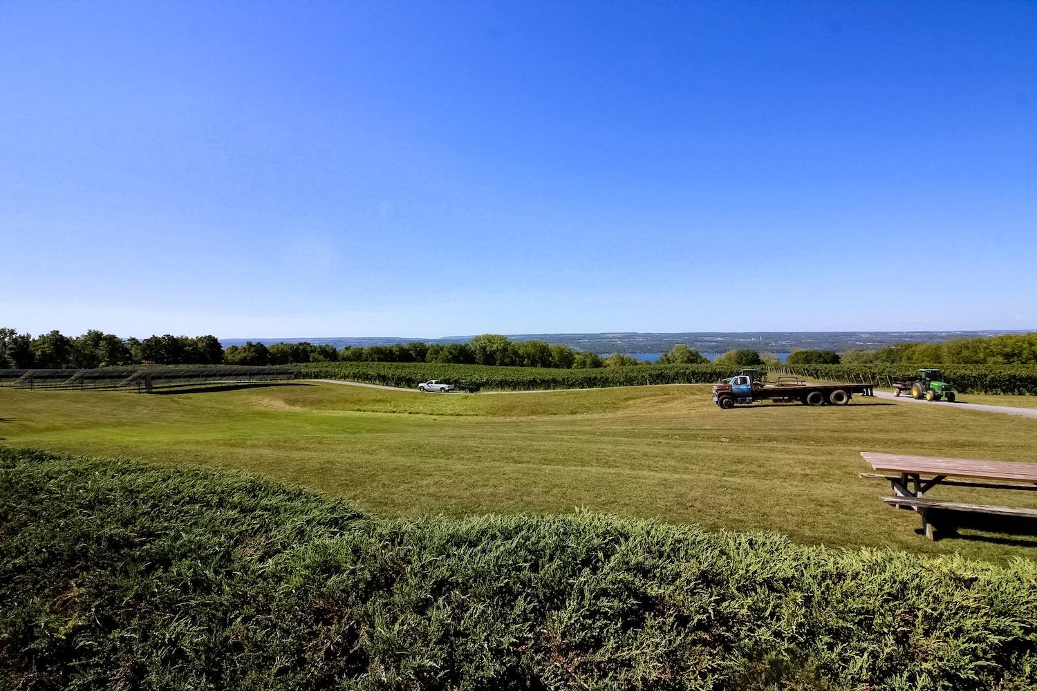 Sustainable practices benefit the microclimate & whole community at Lake Seneca vineyards in the Finger Lakes