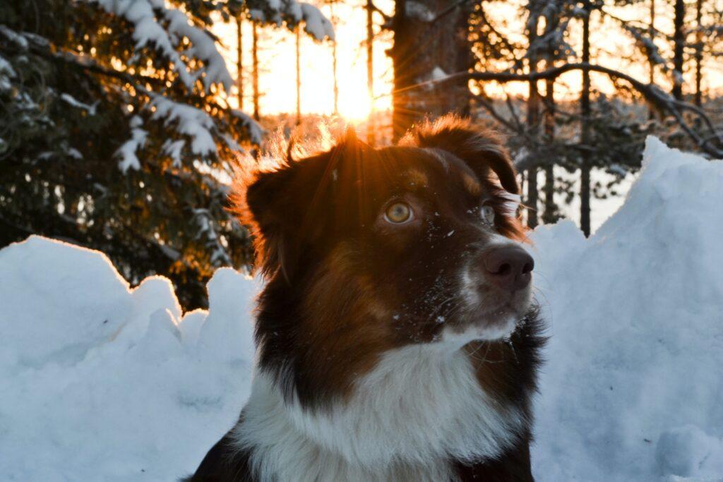 Finland