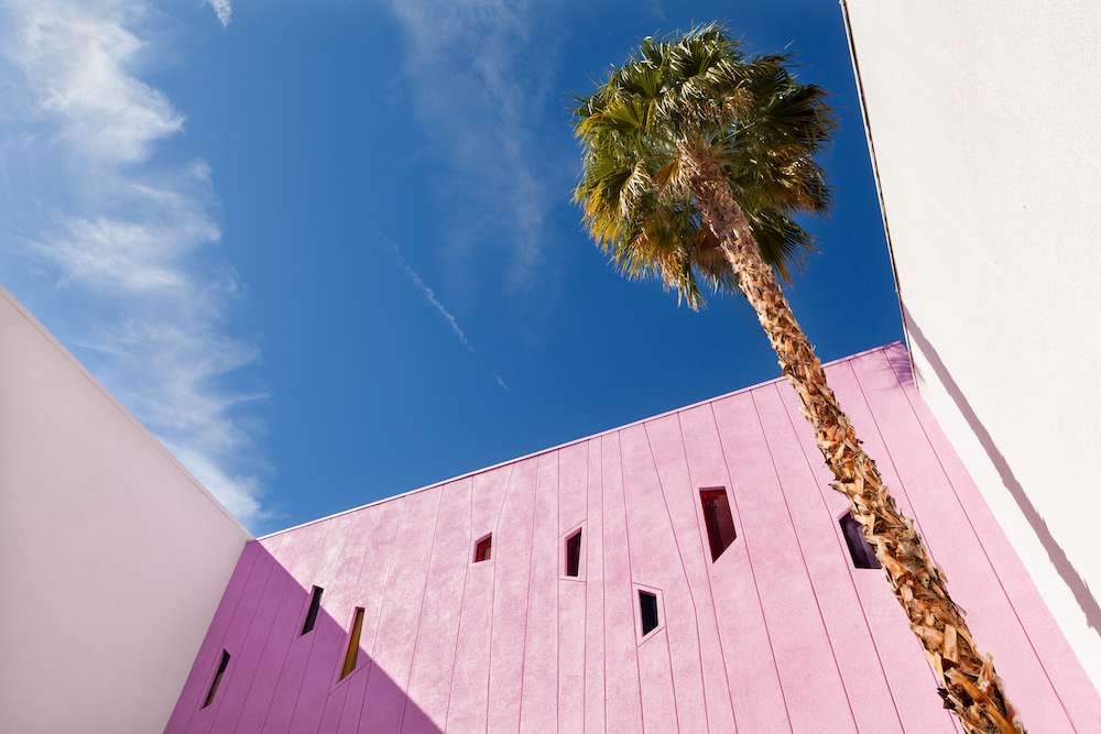 Saguaro Hotel Barbiecore