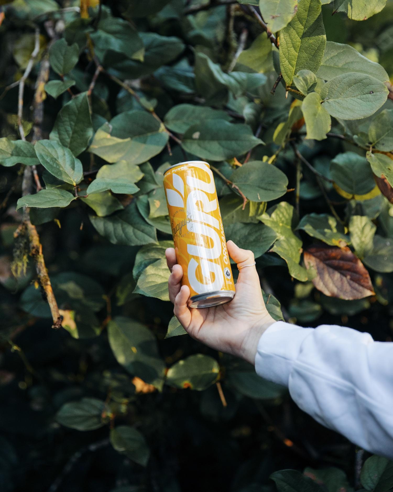 GURU energy drink natural plant ingredients