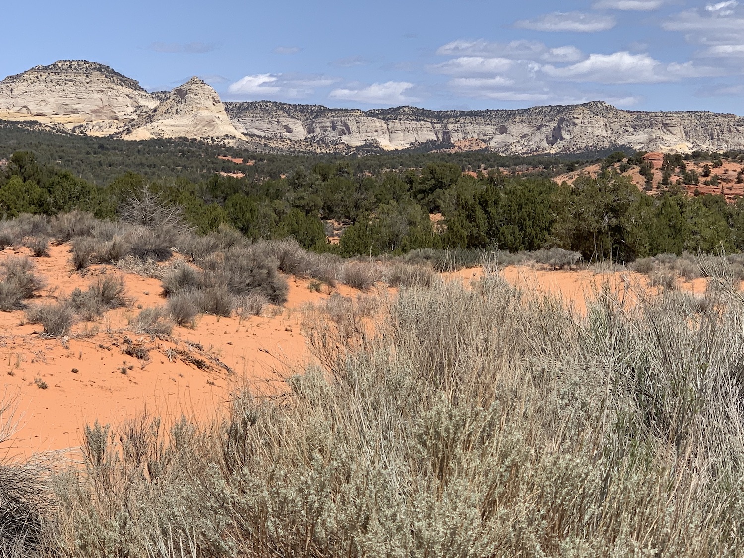 Kanab Desert