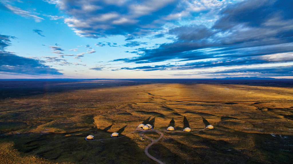 American Safari at Kestrel Camp