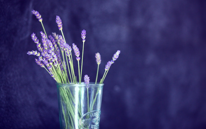 Lavender