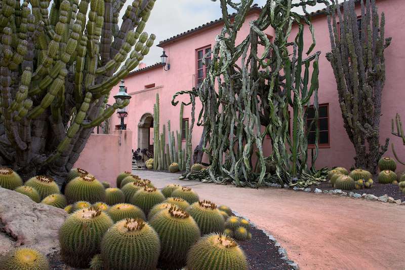 barbiecore at lotusland