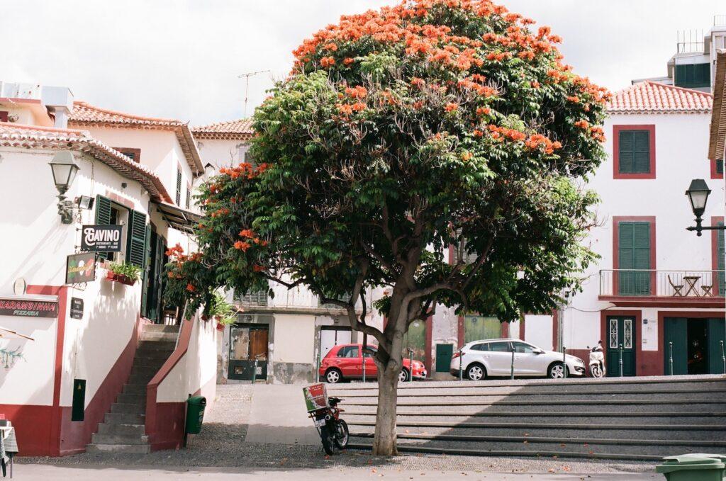 luxury Madeira