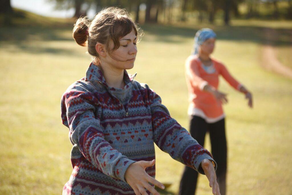tai chi martial arts