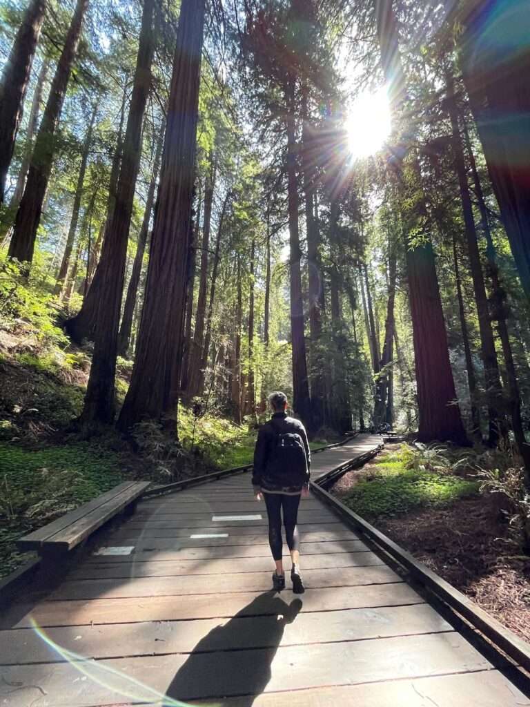 walking on a forest path