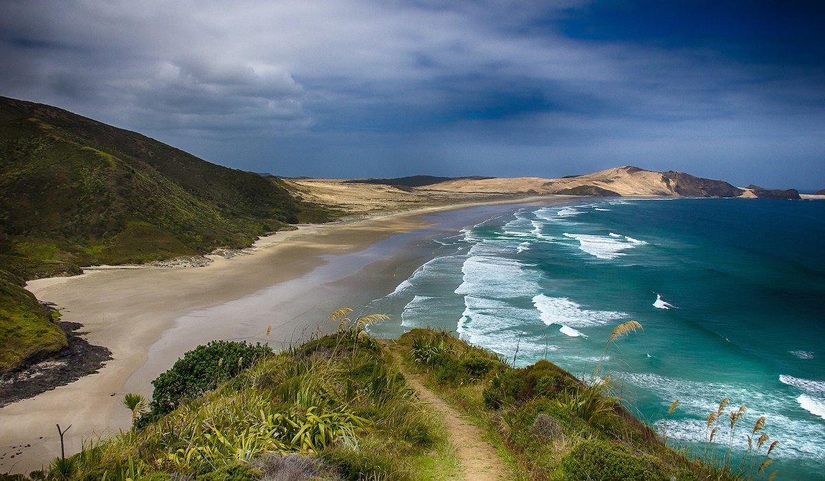 New Zealand Beach