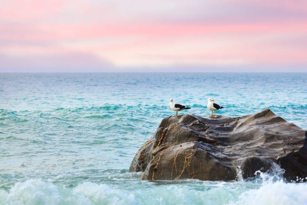 Tasman Sea