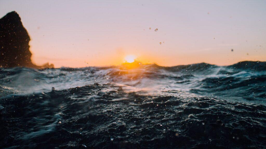open water swimming at sunset