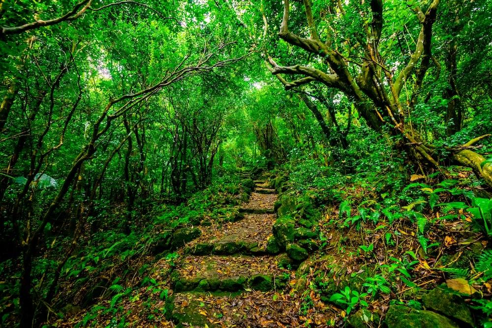 2024 hiking wellness at Saba