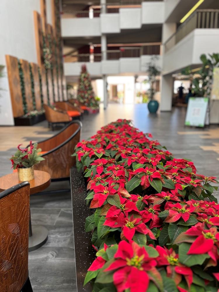 festive lobby at Sheraton Kauai Coconut Beach Resort