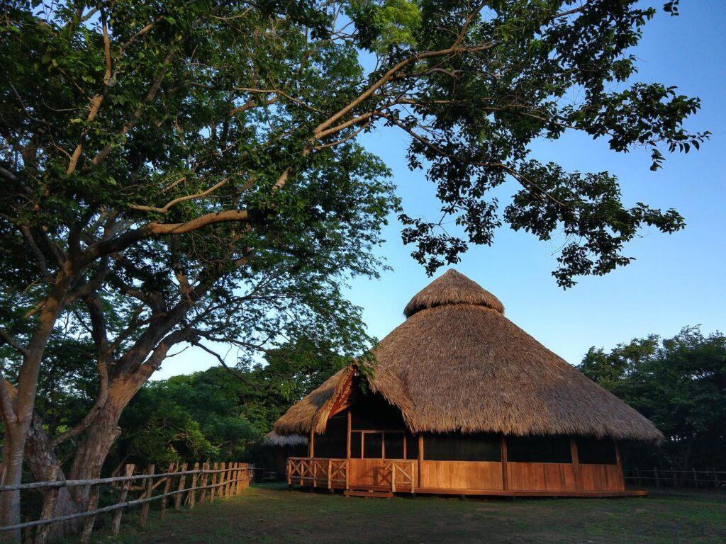 Ayahuasca Retreat Hut