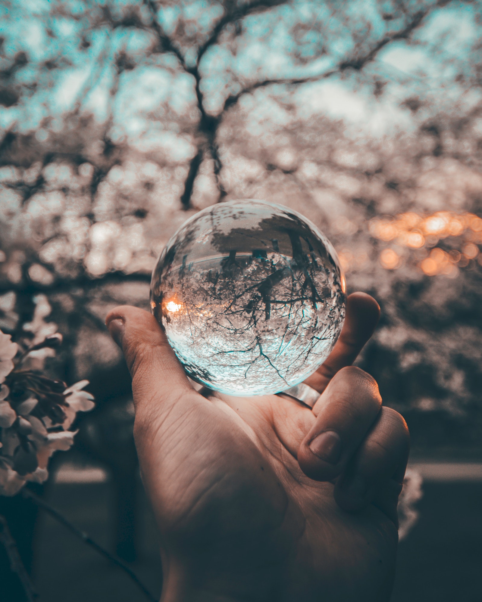 crystal ball