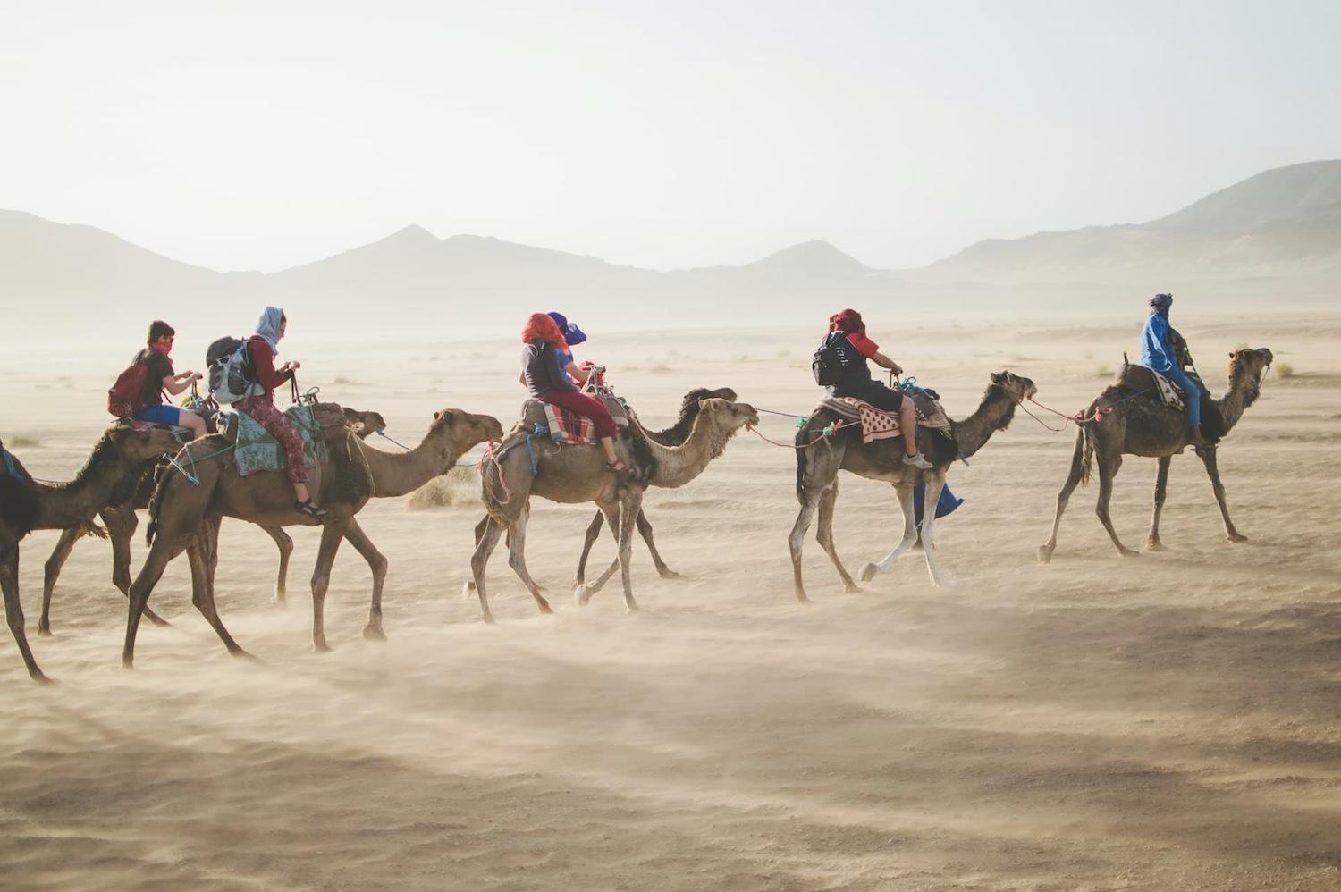 group travel camel ride tour