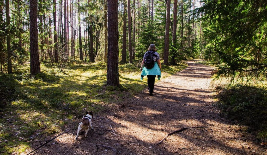 forest bathing