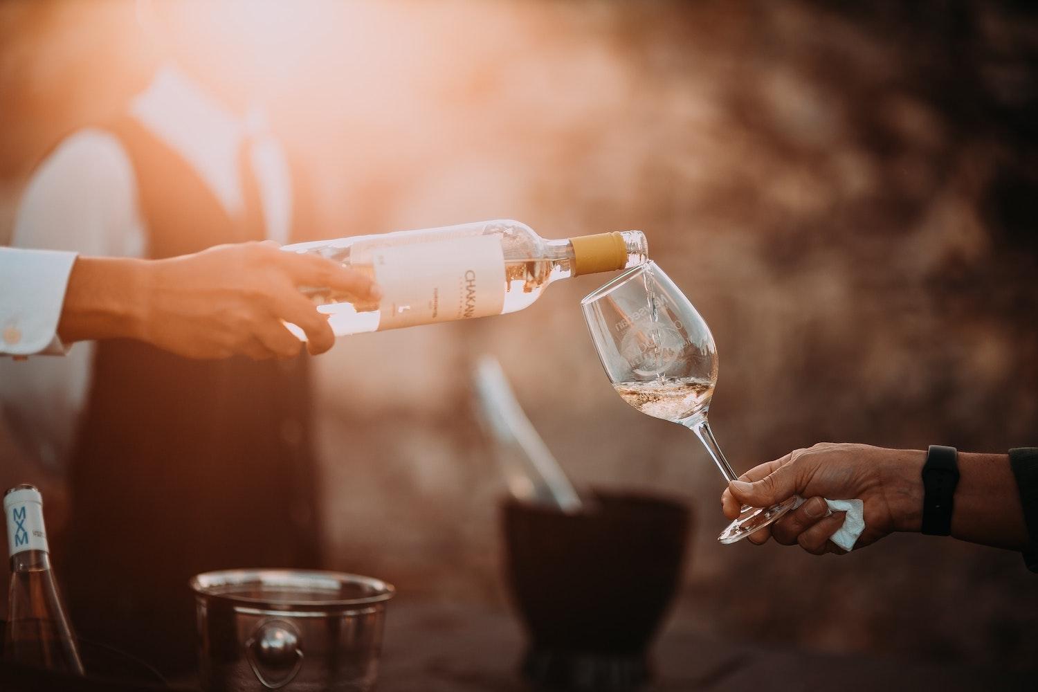 wine tasting and tours in prince edward county